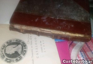 imagem_3