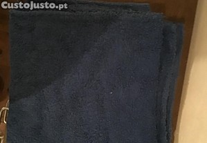 imagem_1