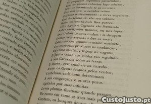 imagem_13