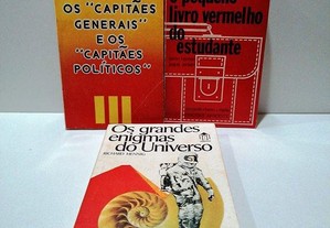 imagem_8