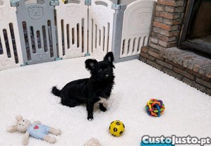 imagem_7