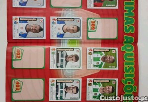 imagem_8