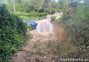 imagem_14