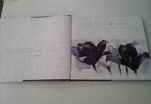 imagem_4