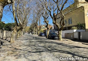 imagem_24