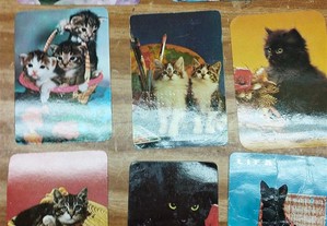 Coleção de 8 Calendários gatos