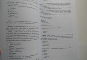 imagem_8
