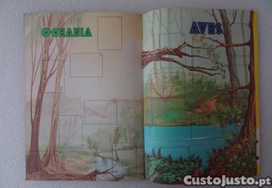 imagem_4
