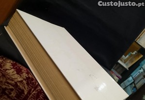 imagem_8