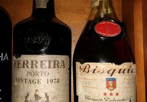 Vinho do Porto e cognac