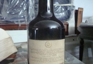 imagem_2