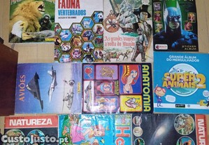 imagem_2