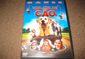 DVD "Uma Jóia de Cão" com French Stewart