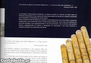 imagem_7
