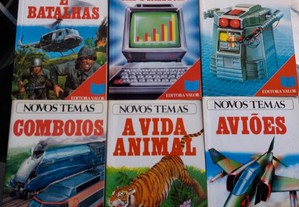 imagem_2