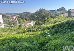 imagem_7