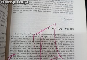 imagem_7