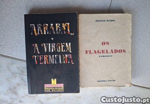 imagem_1