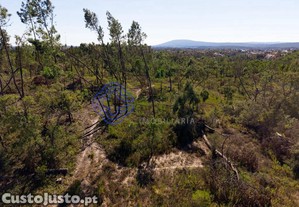 imagem_13
