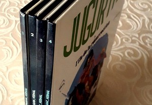 imagem_2