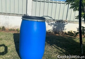 imagem_1