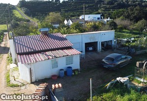 imagem_4