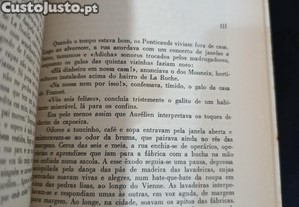 imagem_7