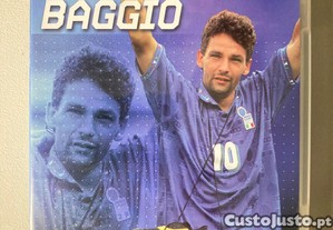 imagem_8