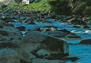 imagem_7