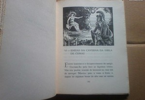 imagem_7