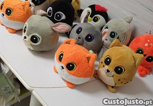 imagem_6