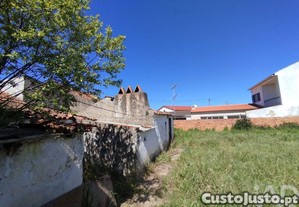 imagem_19