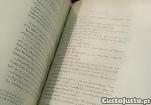 imagem_13