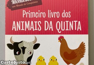 imagem_1