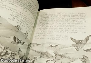 imagem_3
