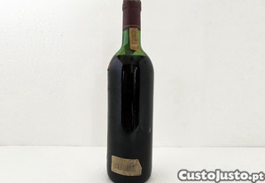 imagem_4