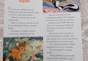 imagem_6
