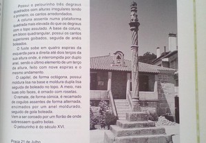imagem_5