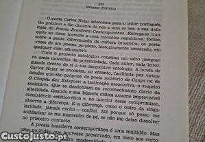 imagem_8