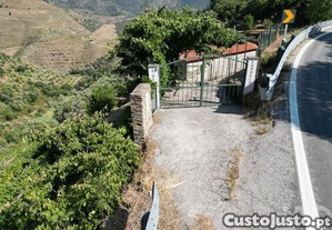 imagem_17