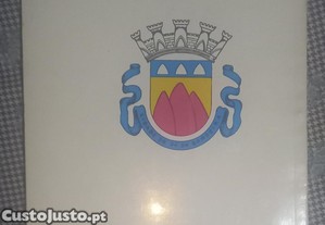 imagem_8
