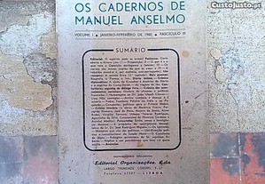 Os cadernos de Manuel Anselmo - Portes Grátis