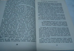 imagem_5