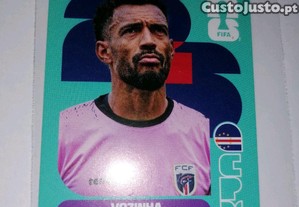 imagem_1