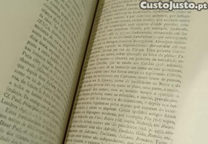 imagem_10