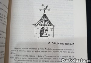 imagem_6