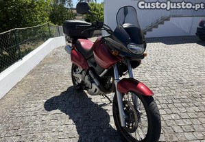 imagem_3