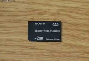 PSP: Sony 2GB Memory Stick Pro Duo