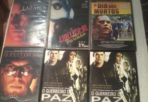 imagem_8