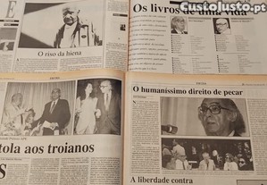 imagem_8
